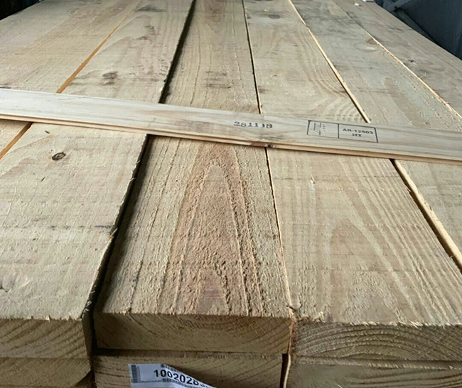 芒市阿根廷松木